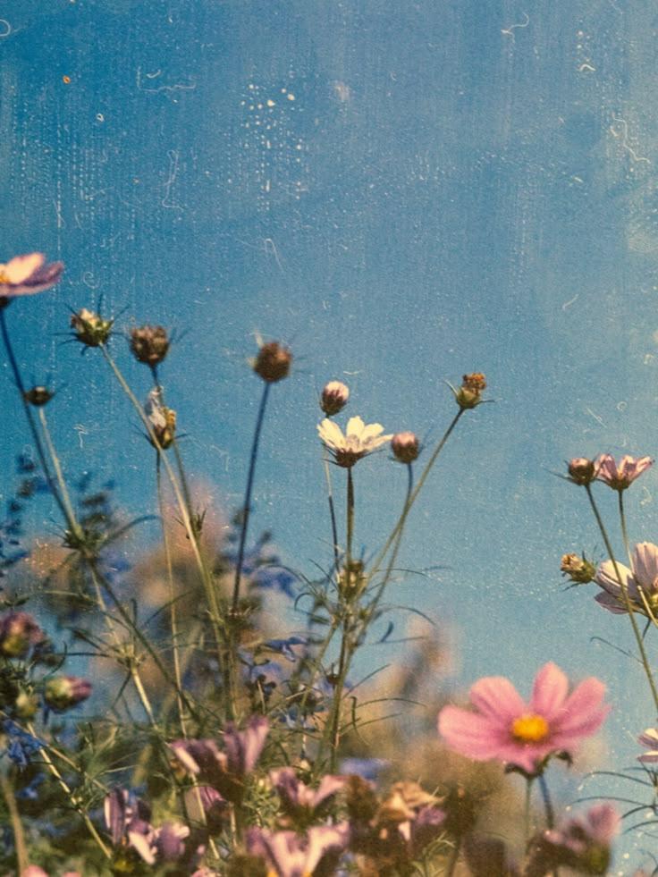 Ocean Breeze Whispers: Serene Aquatic Botanicals